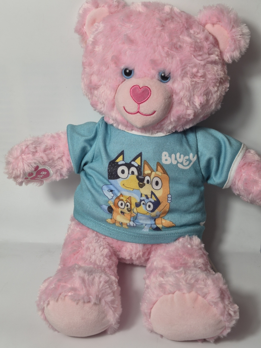 Build-A-Bear Pink Cuddles Teddy In BLUEY CLOTHS